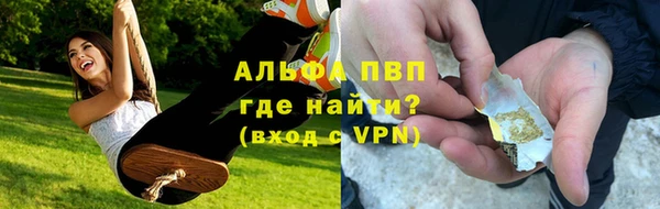 прущие грибы Баксан