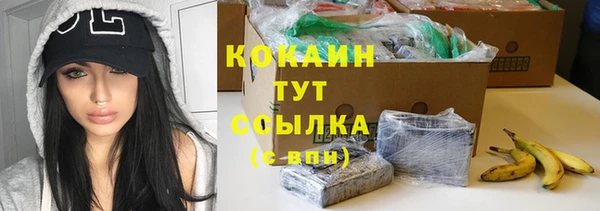 прущие грибы Баксан