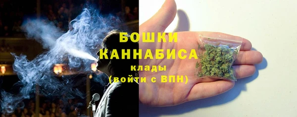 прущие грибы Баксан