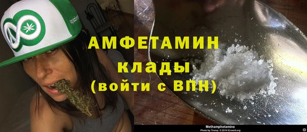 прущие грибы Баксан