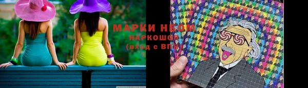 сатива Балахна